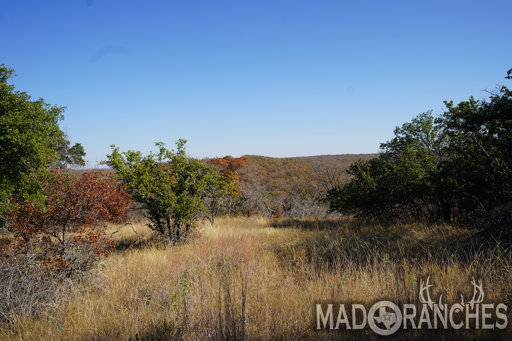 tract-2-tbd-hwy-36-comanche-tx-76442