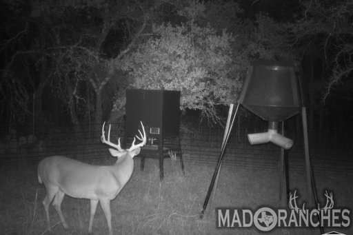 tract-2-tbd-hwy-36-comanche-tx-76442