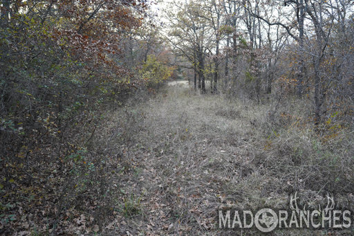 tract-5-tbd-hwy-36-comanche-tx-76442