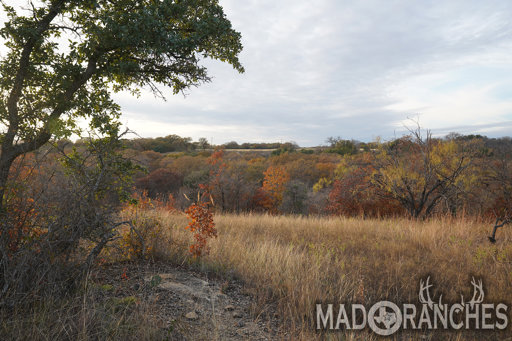 tract-5-tbd-hwy-36-comanche-tx-76442
