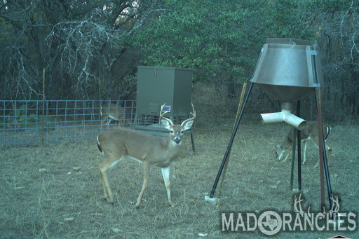 tract-3-tbd-hwy-36-comanche-tx-76442