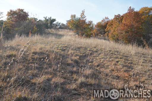 tract-3-tbd-hwy-36-comanche-tx-76442