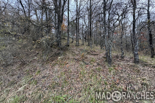 tract-4-tbd-hwy-36-comanche-tx-76442