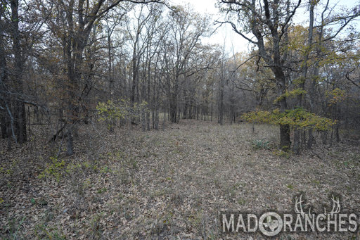 tract-5-tbd-hwy-36-comanche-tx-76442