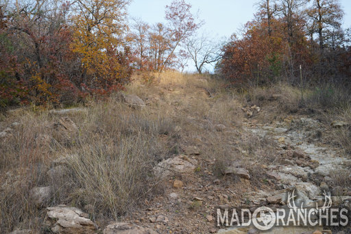 tract-5-tbd-hwy-36-comanche-tx-76442