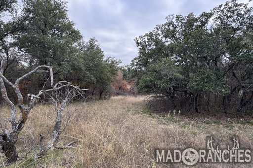 tract-4-tbd-hwy-36-comanche-tx-76442