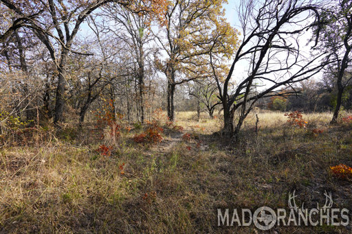 tract-3-tbd-hwy-36-comanche-tx-76442