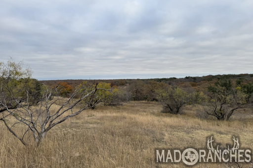 tract-4-tbd-hwy-36-comanche-tx-76442