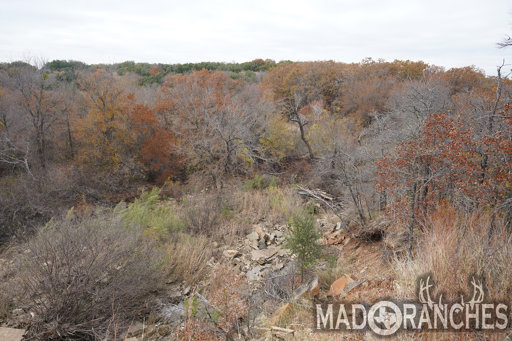 tract-4-tbd-hwy-36-comanche-tx-76442