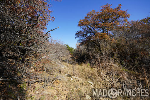 tract-1-tbd-hwy-36-comanche-tx-76442