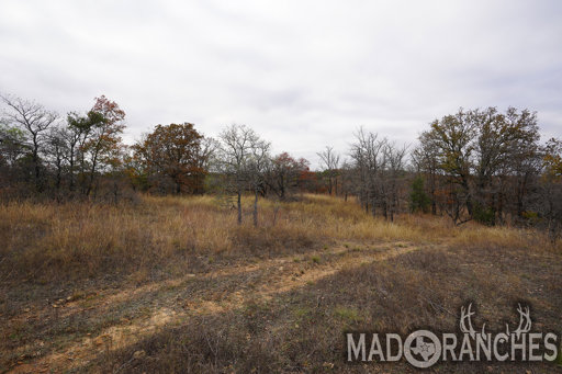 tract-4-tbd-hwy-36-comanche-tx-76442