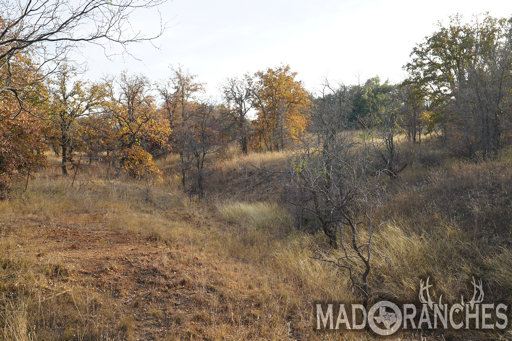 tract-4-tbd-hwy-36-comanche-tx-76442