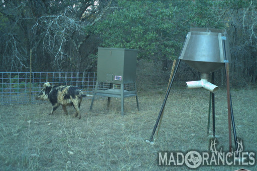 tract-2-tbd-hwy-36-comanche-tx-76442