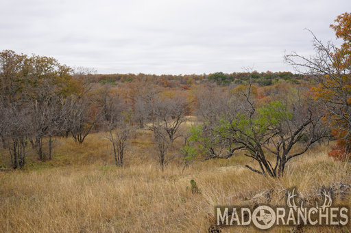tract-1-tbd-hwy-36-comanche-tx-76442