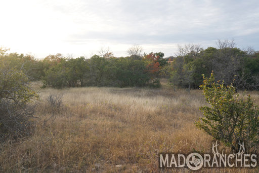 tract-5-tbd-hwy-36-comanche-tx-76442