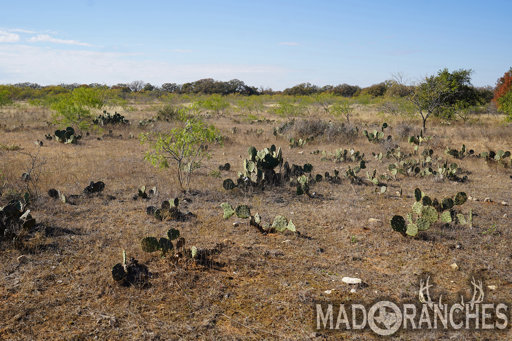 tract-2-tbd-hwy-36-comanche-tx-76442