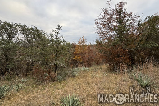 tract-5-tbd-hwy-36-comanche-tx-76442