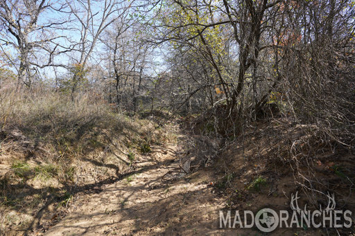 tract-2-tbd-hwy-36-comanche-tx-76442