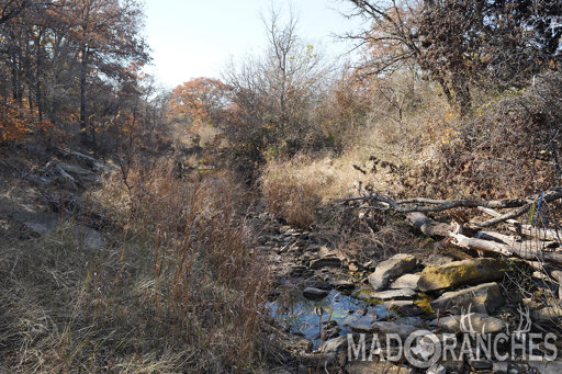 tract-1-tbd-hwy-36-comanche-tx-76442