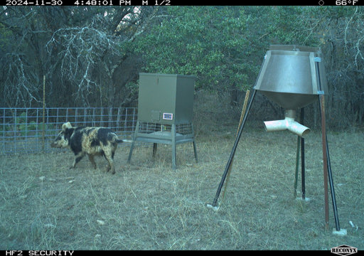 tract-5-tbd-hwy-36-comanche-tx-76442