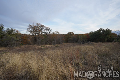 tract-5-tbd-hwy-36-comanche-tx-76442