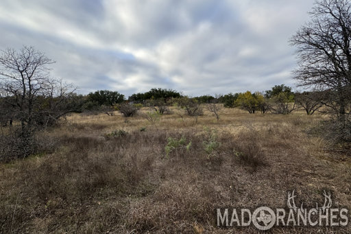 tract-4-tbd-hwy-36-comanche-tx-76442