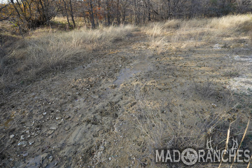 tract-3-tbd-hwy-36-comanche-tx-76442