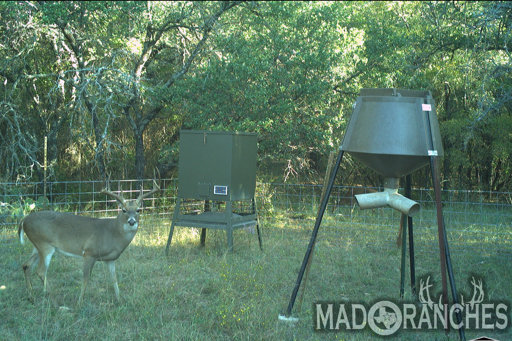 tract-2-tbd-hwy-36-comanche-tx-76442