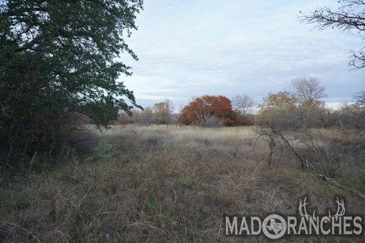 tract-5-tbd-hwy-36-comanche-tx-76442