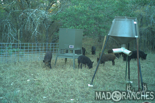 tract-4-tbd-hwy-36-comanche-tx-76442