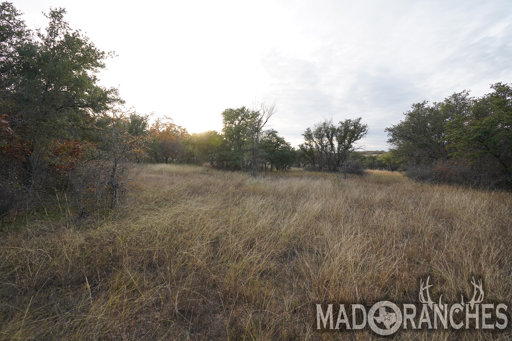 tract-5-tbd-hwy-36-comanche-tx-76442