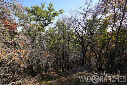 tract-2-tbd-hwy-36-comanche-tx-76442