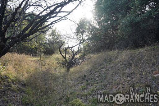 tract-3-tbd-hwy-36-comanche-tx-76442