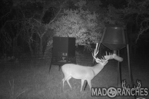 tract-1-tbd-hwy-36-comanche-tx-76442