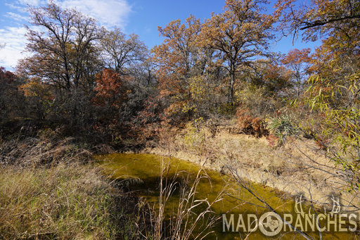 tract-2-tbd-hwy-36-comanche-tx-76442