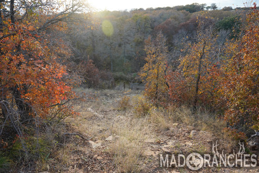 tract-5-tbd-hwy-36-comanche-tx-76442