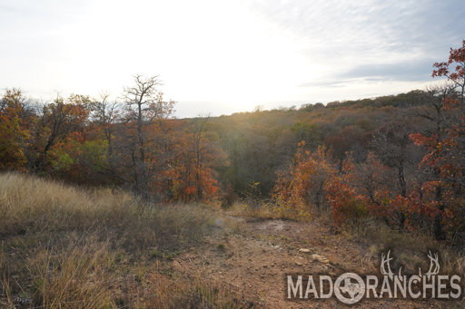 tract-5-tbd-hwy-36-comanche-tx-76442