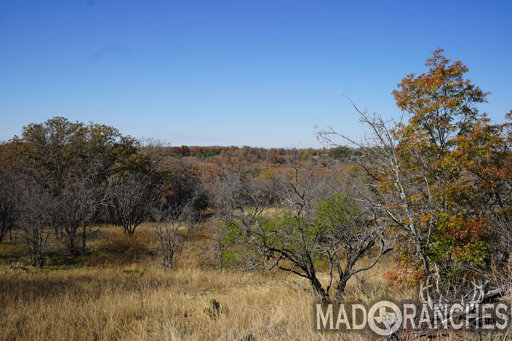 tract-1-tbd-hwy-36-comanche-tx-76442