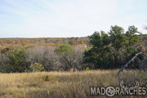 tract-3-tbd-hwy-36-comanche-tx-76442