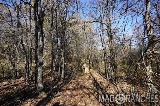 tract-2-tbd-hwy-36-comanche-tx-76442