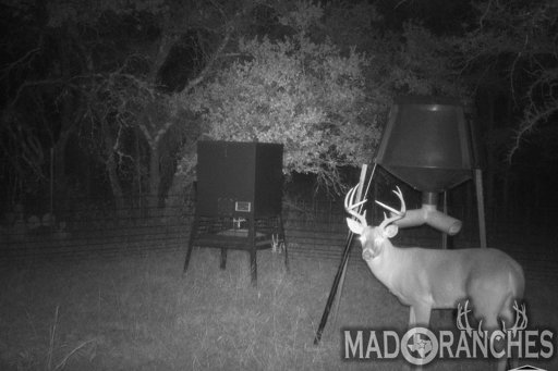 tract-3-tbd-hwy-36-comanche-tx-76442