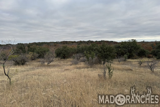 tract-4-tbd-hwy-36-comanche-tx-76442