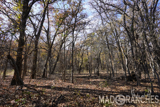 tract-2-tbd-hwy-36-comanche-tx-76442