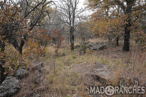 tract-2-tbd-hwy-36-comanche-tx-76442